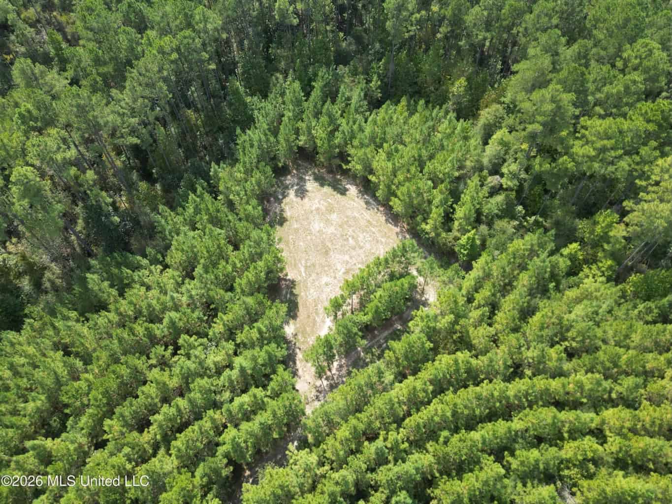 43± Acre Hunting Property in Amite County, MS
