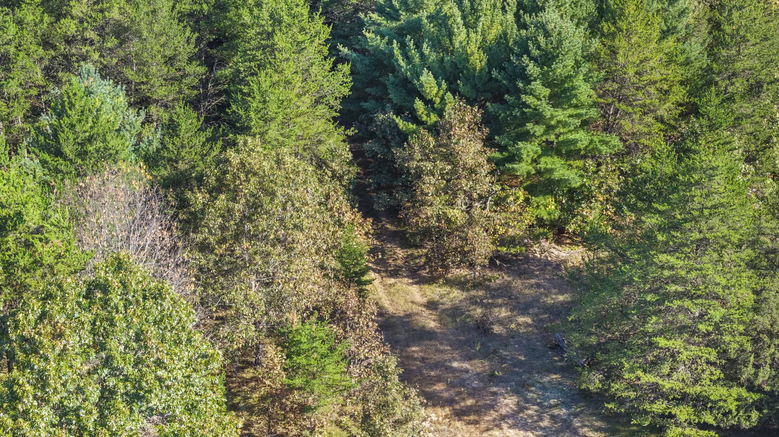 Buildable Hunting and Rec Property in Marquette County WI