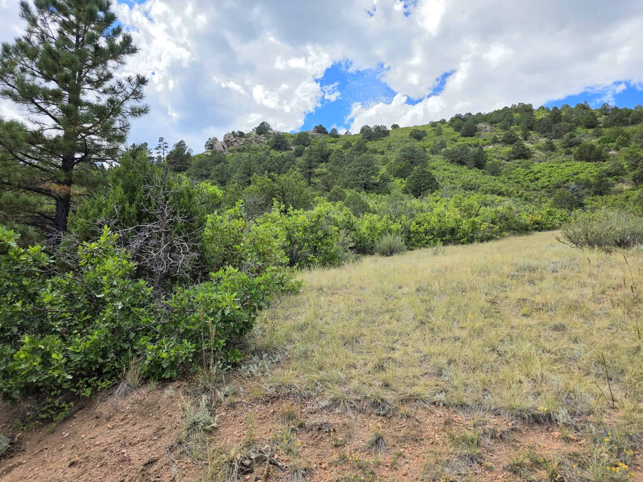 170.68 ± Acre Hunting Ranch by National Forest | Florence, CO