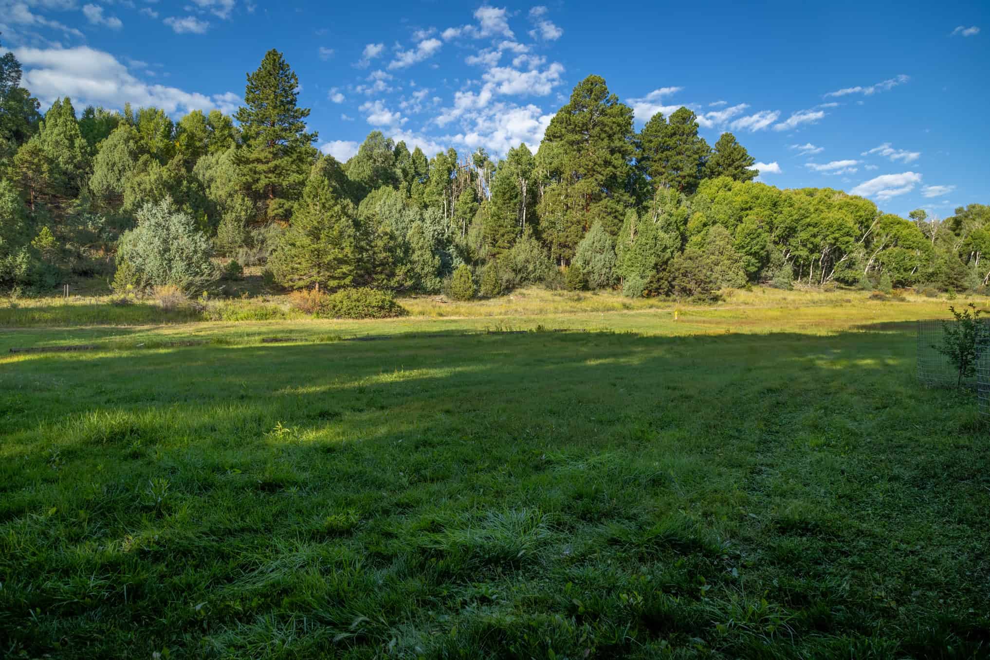 192 ± Acre Ranch for Sale in Salida, CO with Water Rights