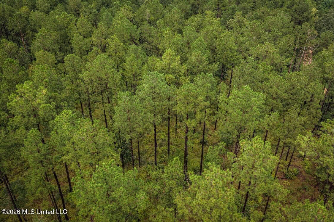 900 Acres for Sale – Hunter’s Paradise South Mississippi