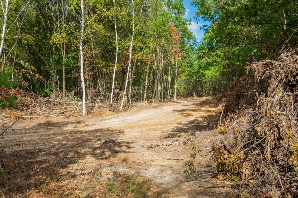 200± acres of Western Wisconsin recreational country Eau Claire Cty