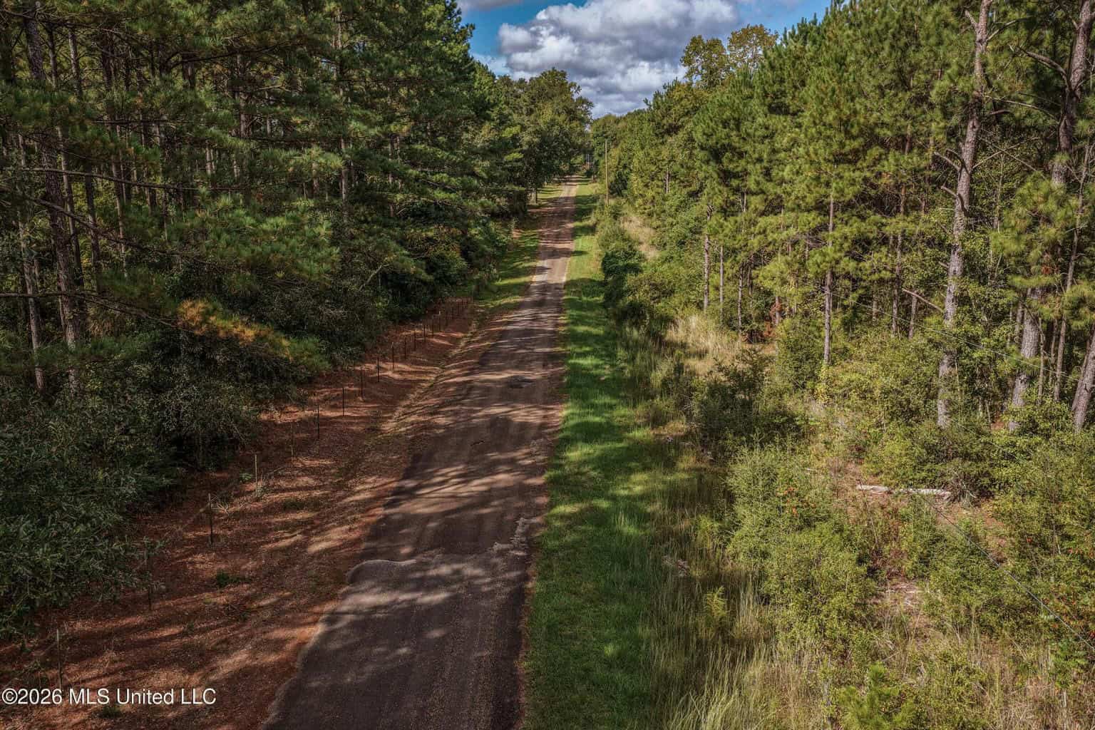 19.7+/- Acres of Wooded Land for Sale in Magnolia, MS