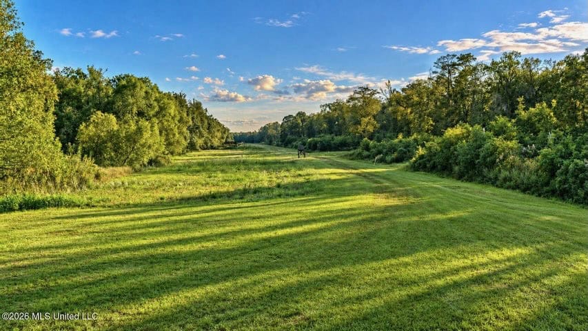 1979± Acre Hunting Plantation in White Castle, LA
