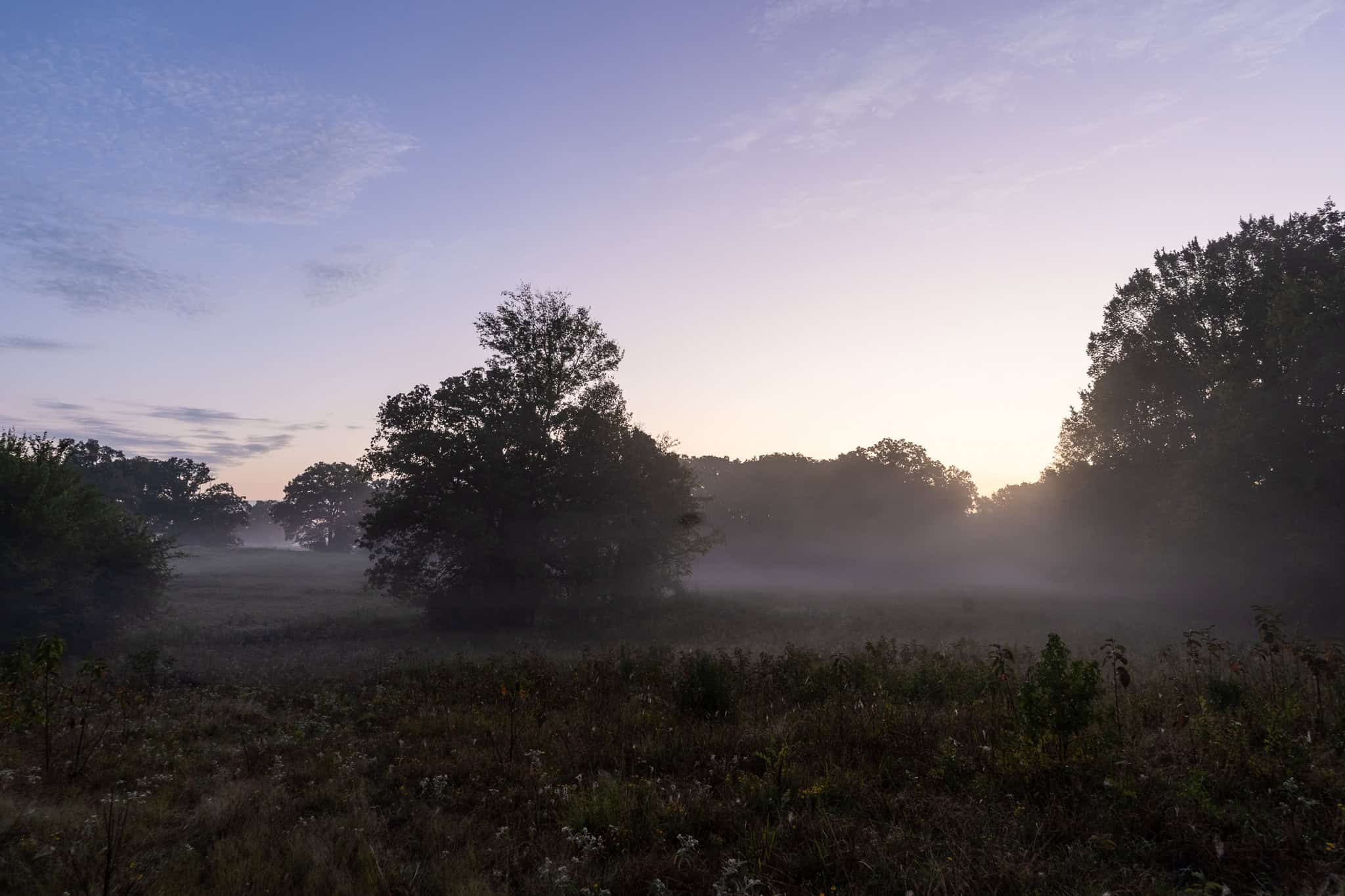 126-Acre Recreational Ranch for Sale in Mineola Texas Wood County