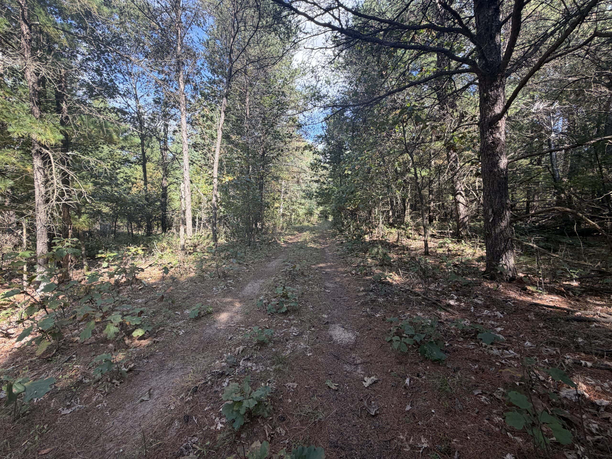 Buildable Hunting and Rec Property in Marquette County WI