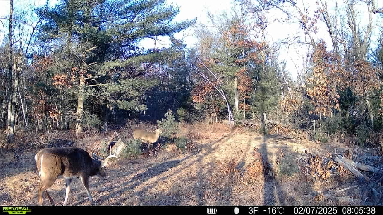 28± Acre Hunting Property with Cabin | Monroe County, Wisconsin