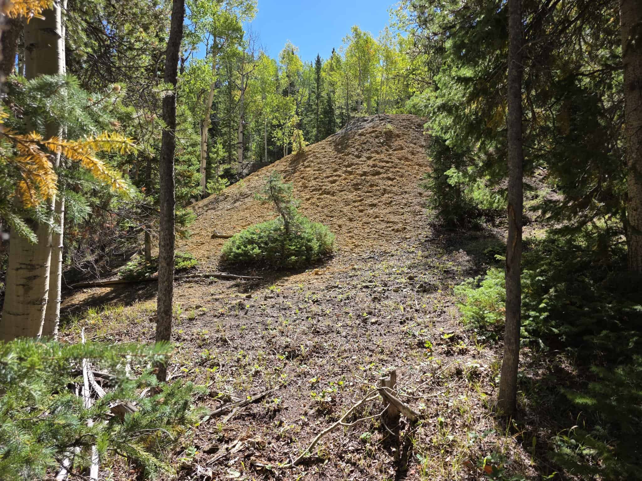 140 ± Acre Mountain Property for Sale in Whitepine, Colorado