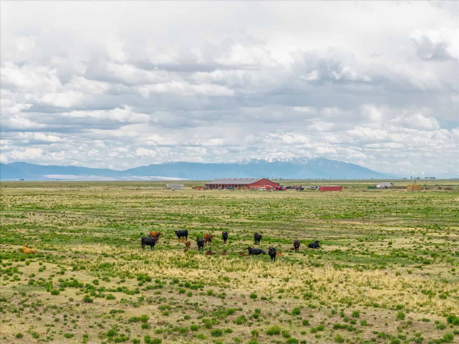 1,280± Acre Hay Ranch for Sale Near Saguache, CO