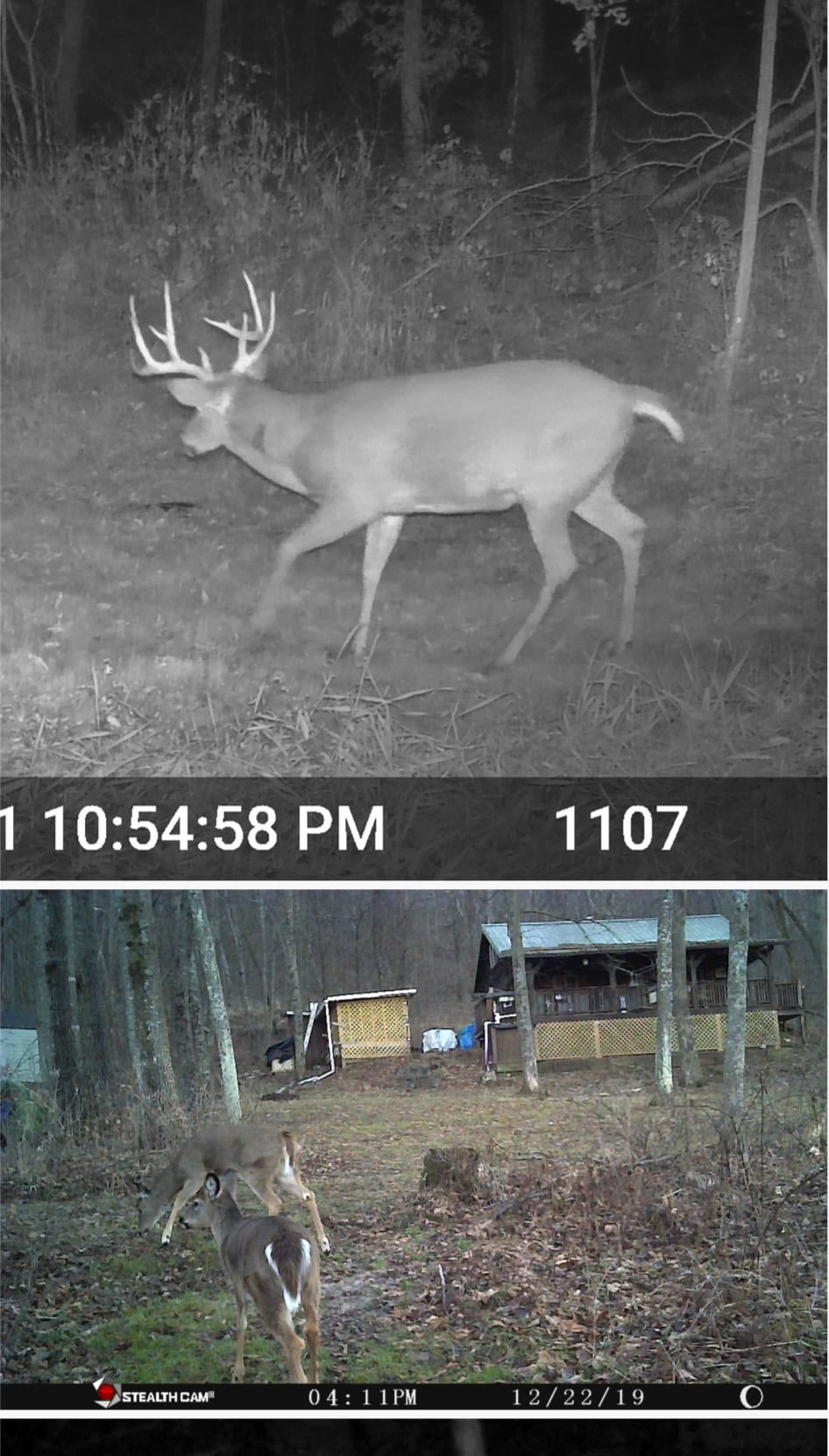 Driftless Area trout fishing and hunting retreat with a rustic log cabin, for sale Richland County WI