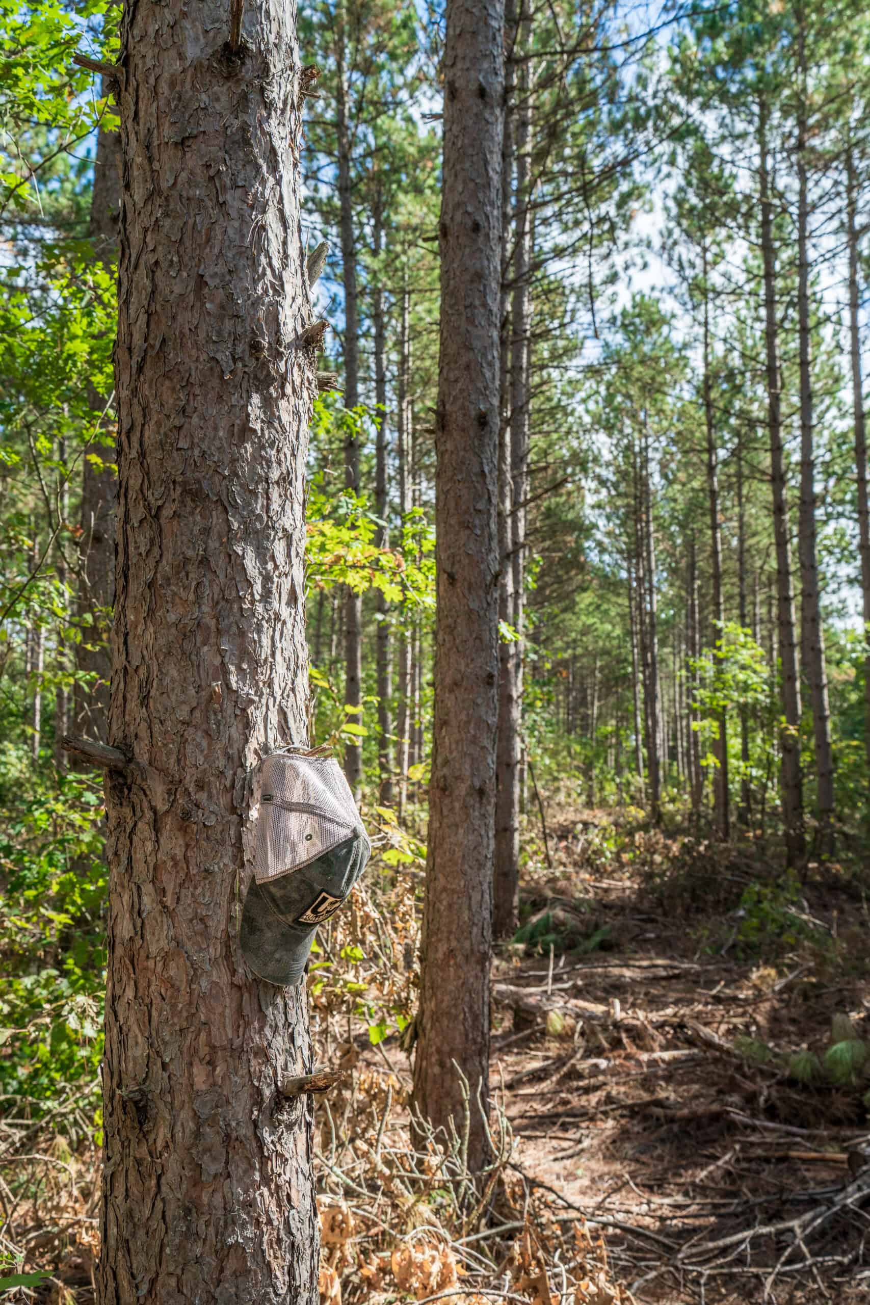 369± acres of premier recreational and hunting land in Eau Claire County