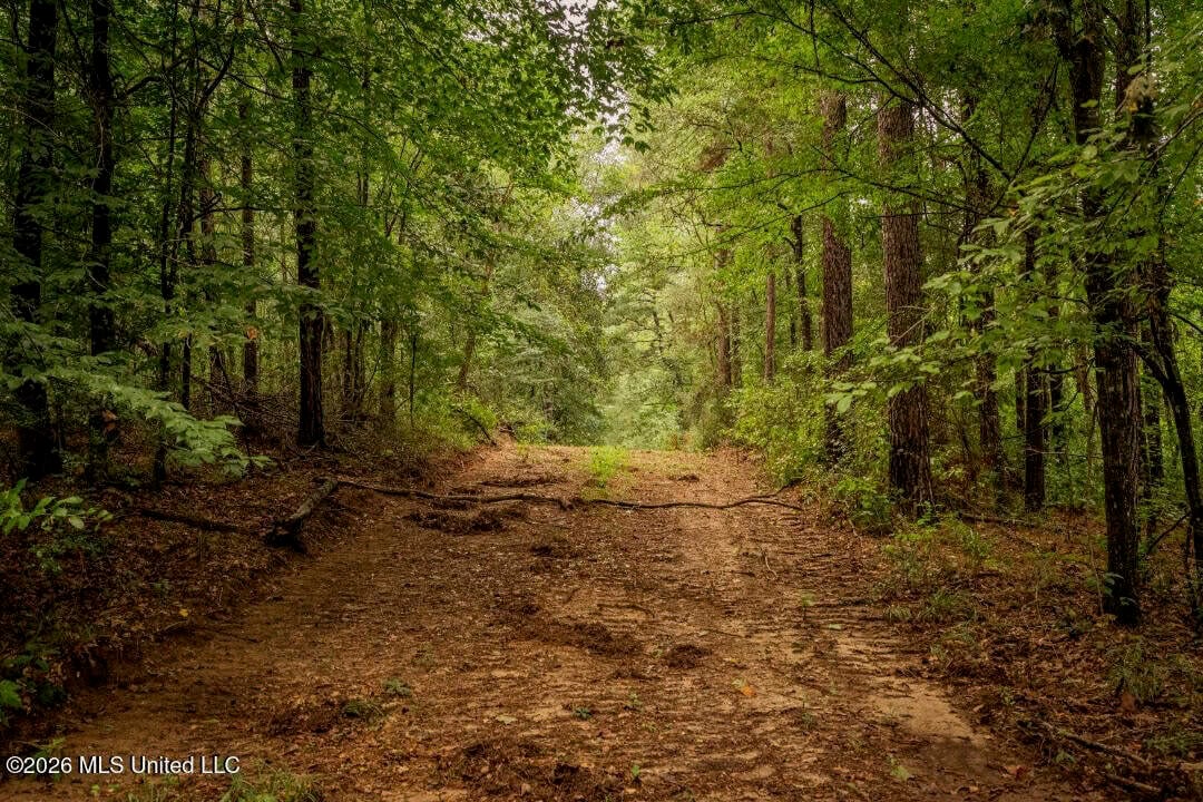 900 Acres for Sale – Hunter’s Paradise South Mississippi