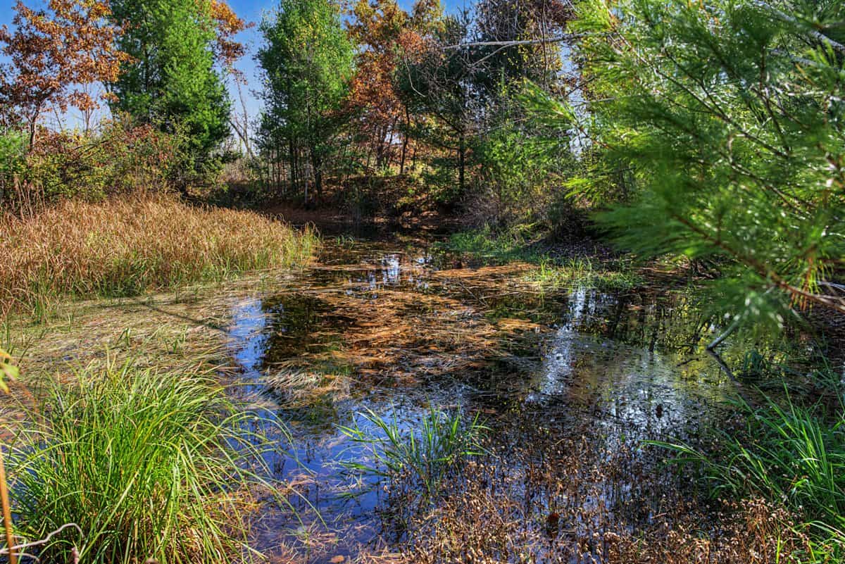 28± Acre Hunting Property with Cabin | Monroe County, Wisconsin