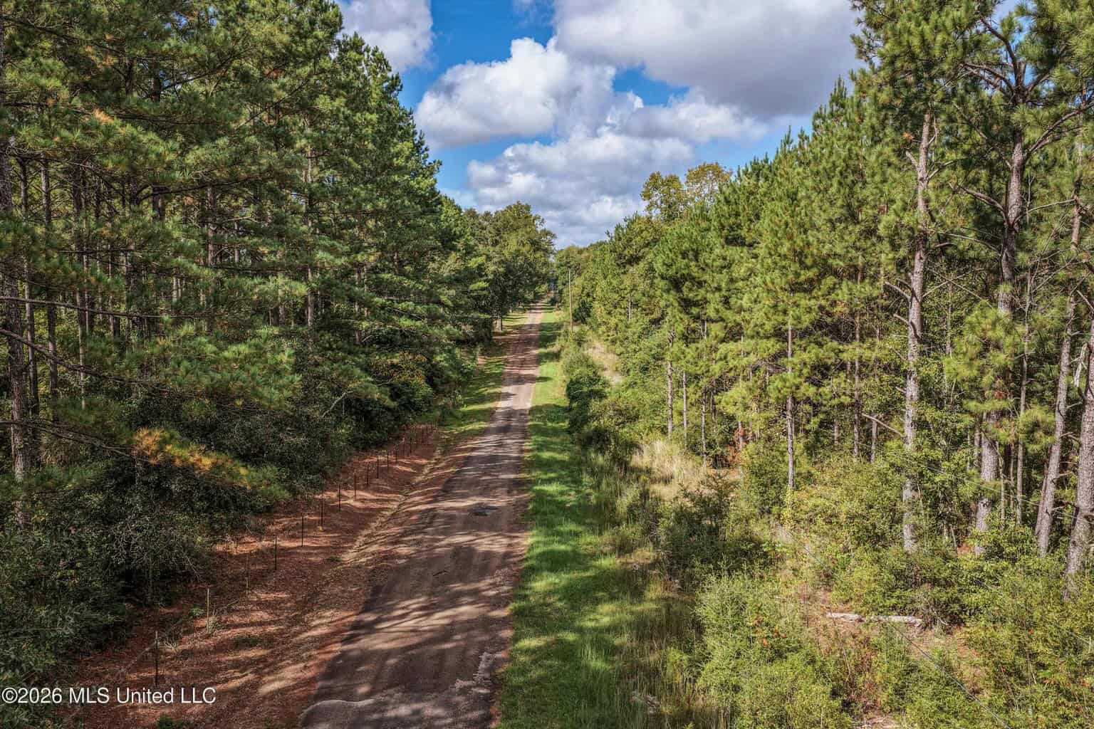 19.7+/- Acres of Wooded Land for Sale in Magnolia, MS