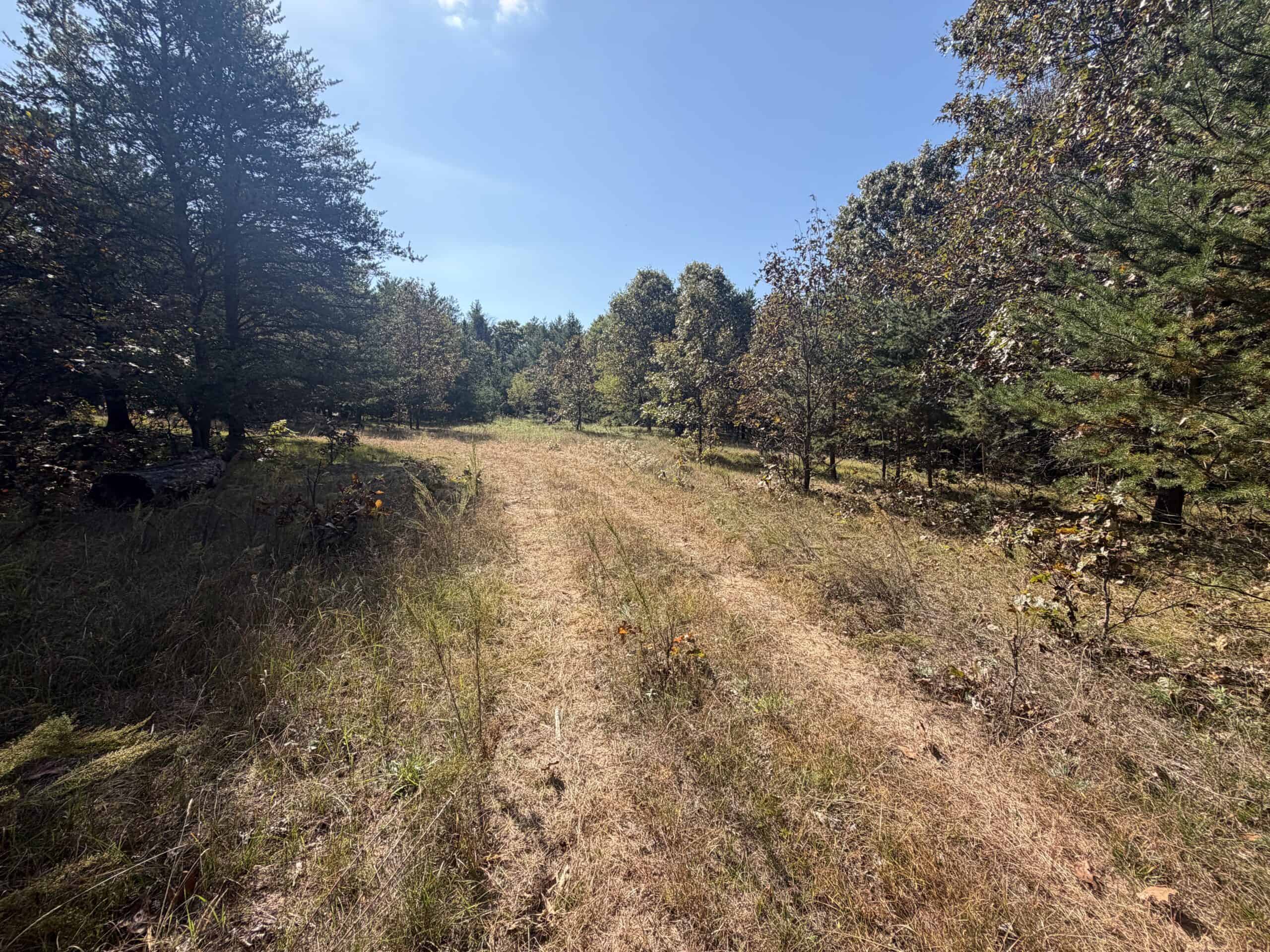 Buildable Hunting and Rec Property in Marquette County WI