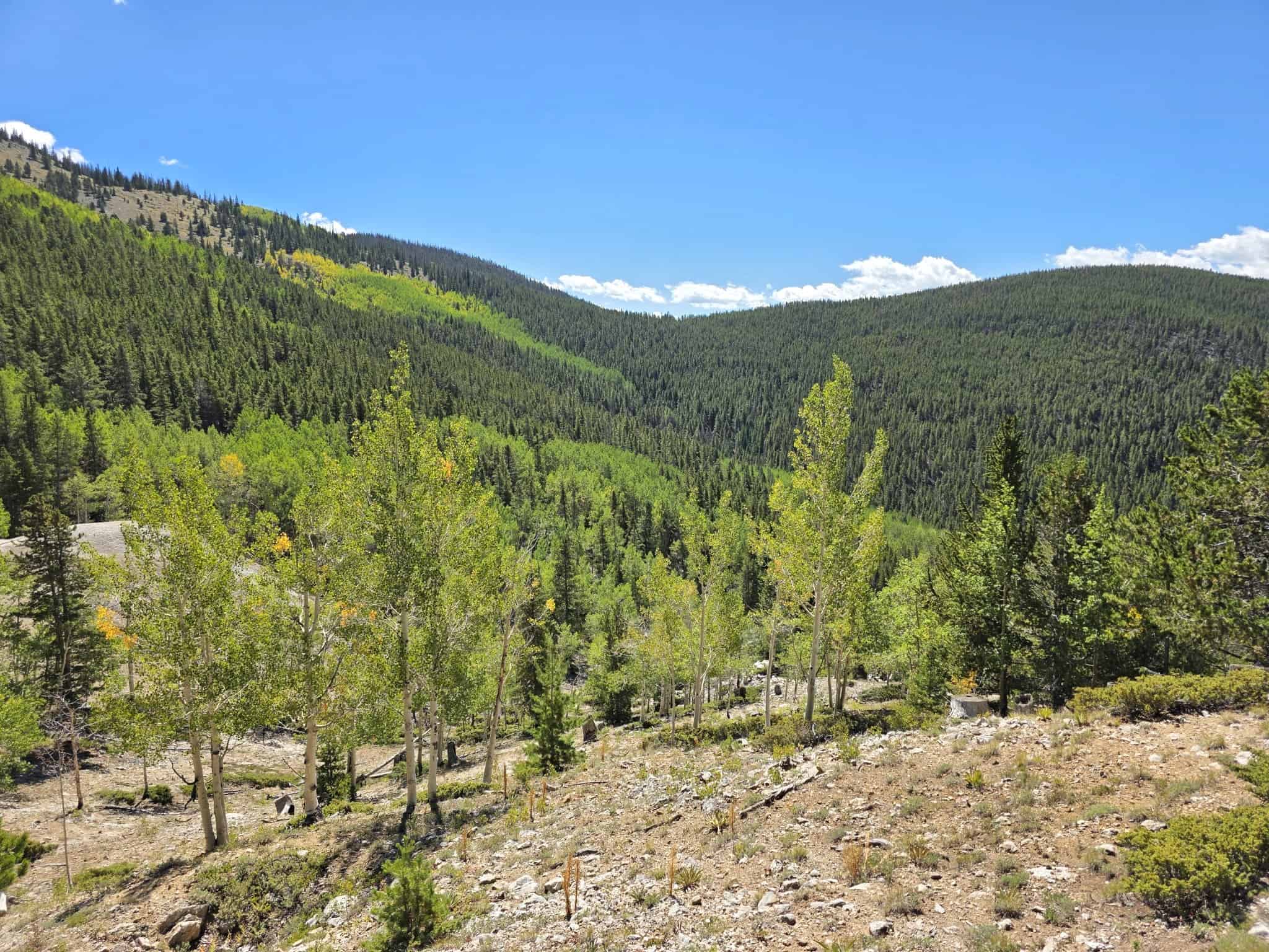 140 ± Acre Mountain Property for Sale in Whitepine, Colorado