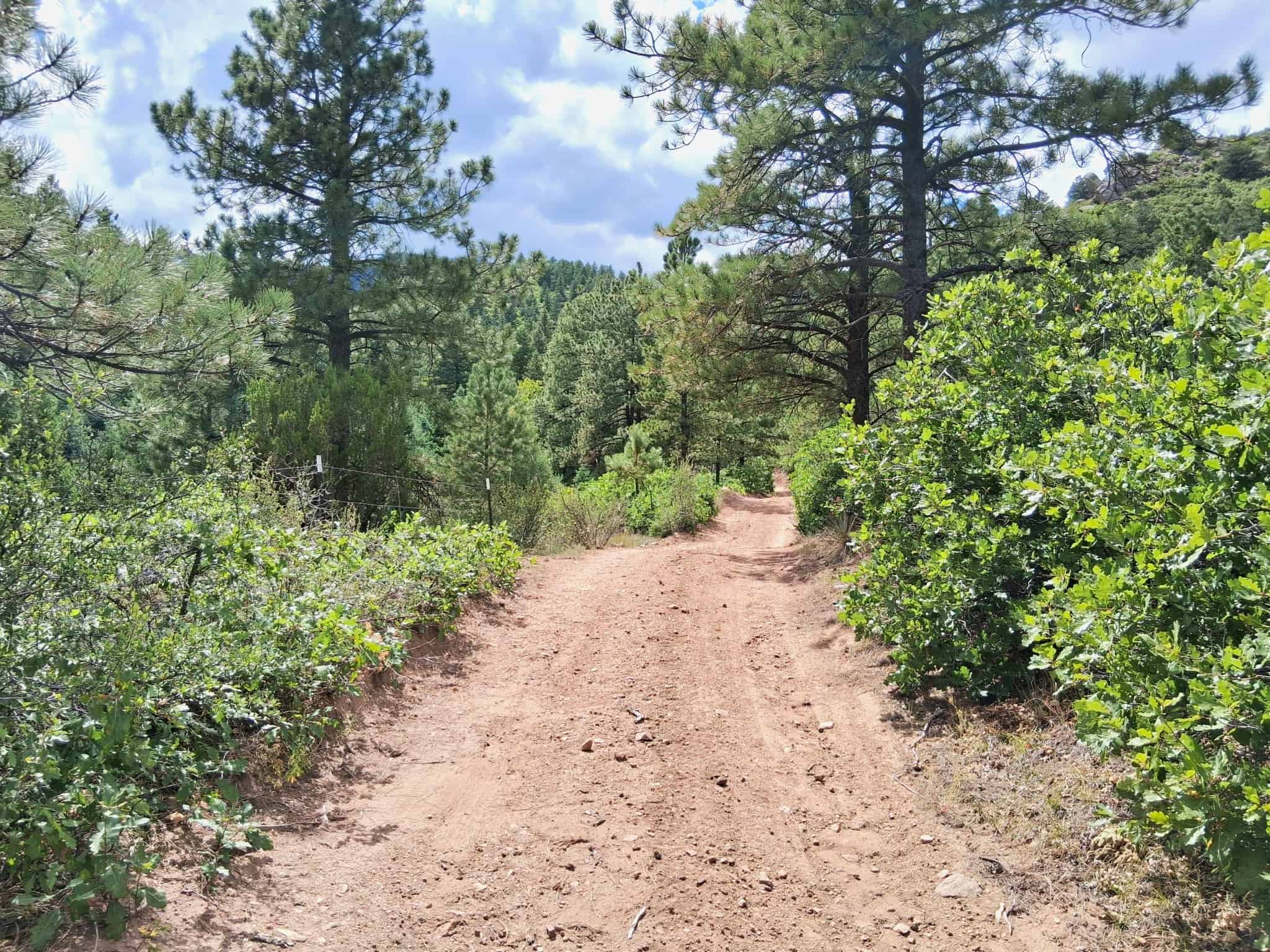 170.68 ± Acre Hunting Ranch by National Forest | Florence, CO