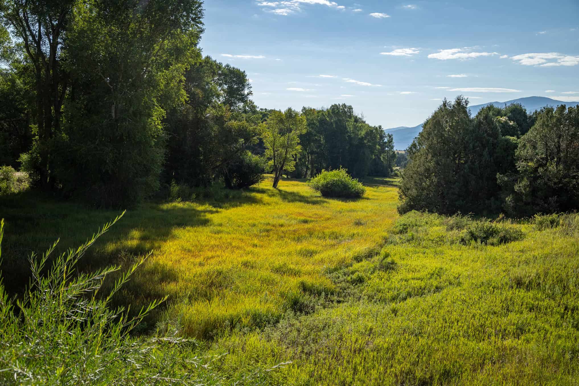 192 ± Acre Ranch for Sale in Salida, CO with Water Rights