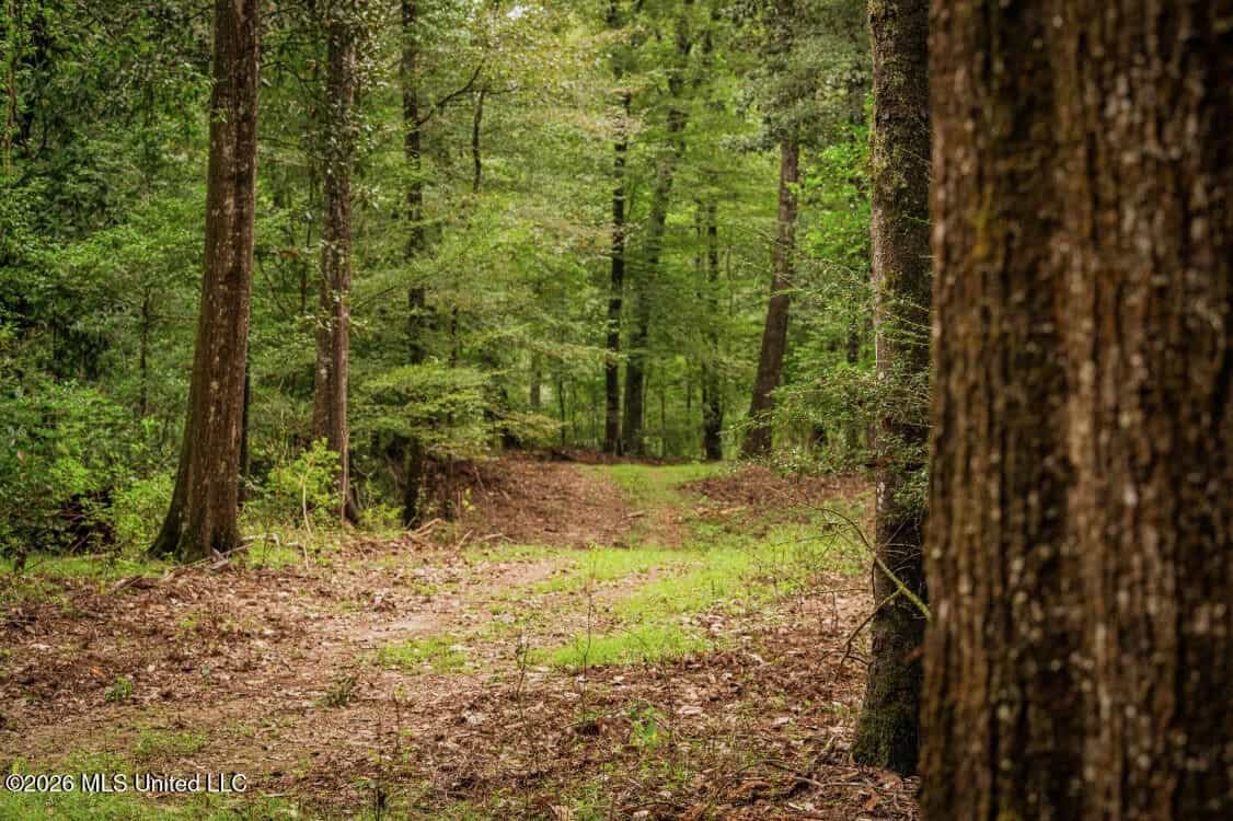 900 Acres for Sale – Hunter’s Paradise South Mississippi