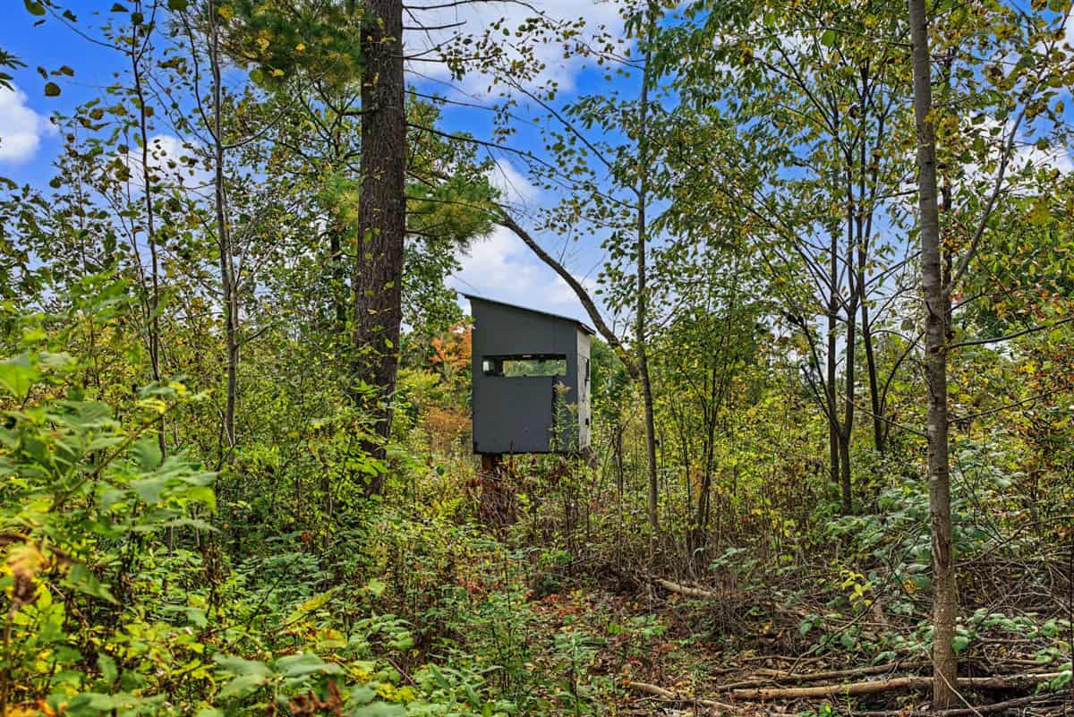 Turnkey 28± Acre Hunting Property Near Melrose, Wisconsin
