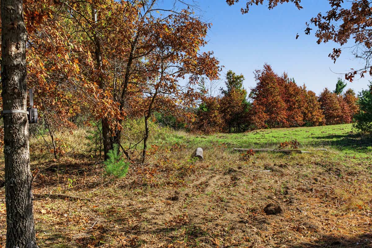 28± Acre Hunting Property with Cabin | Monroe County, Wisconsin