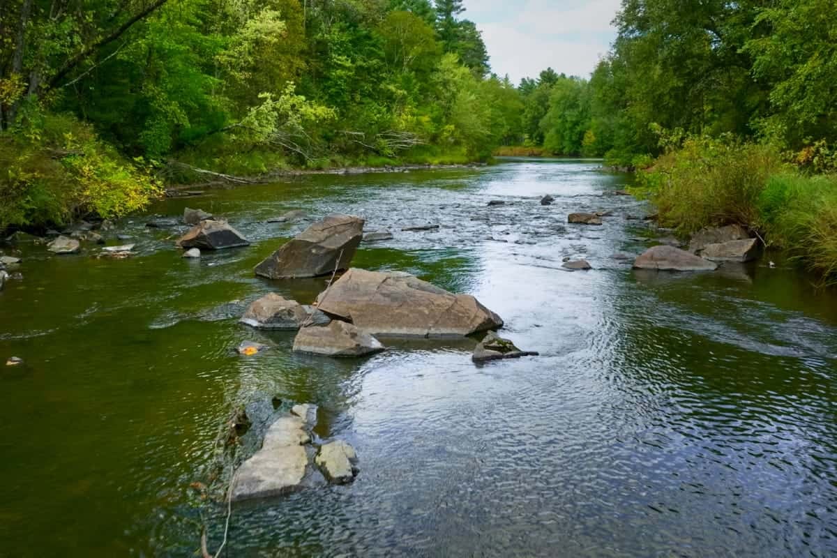 204.74± acres of premier recreational and hunting land in Eau Claire County