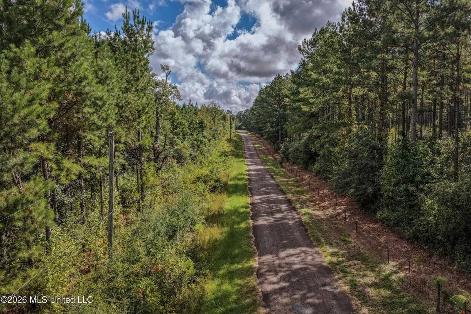 19.7+/- Acres of Wooded Land for Sale in Magnolia, MS