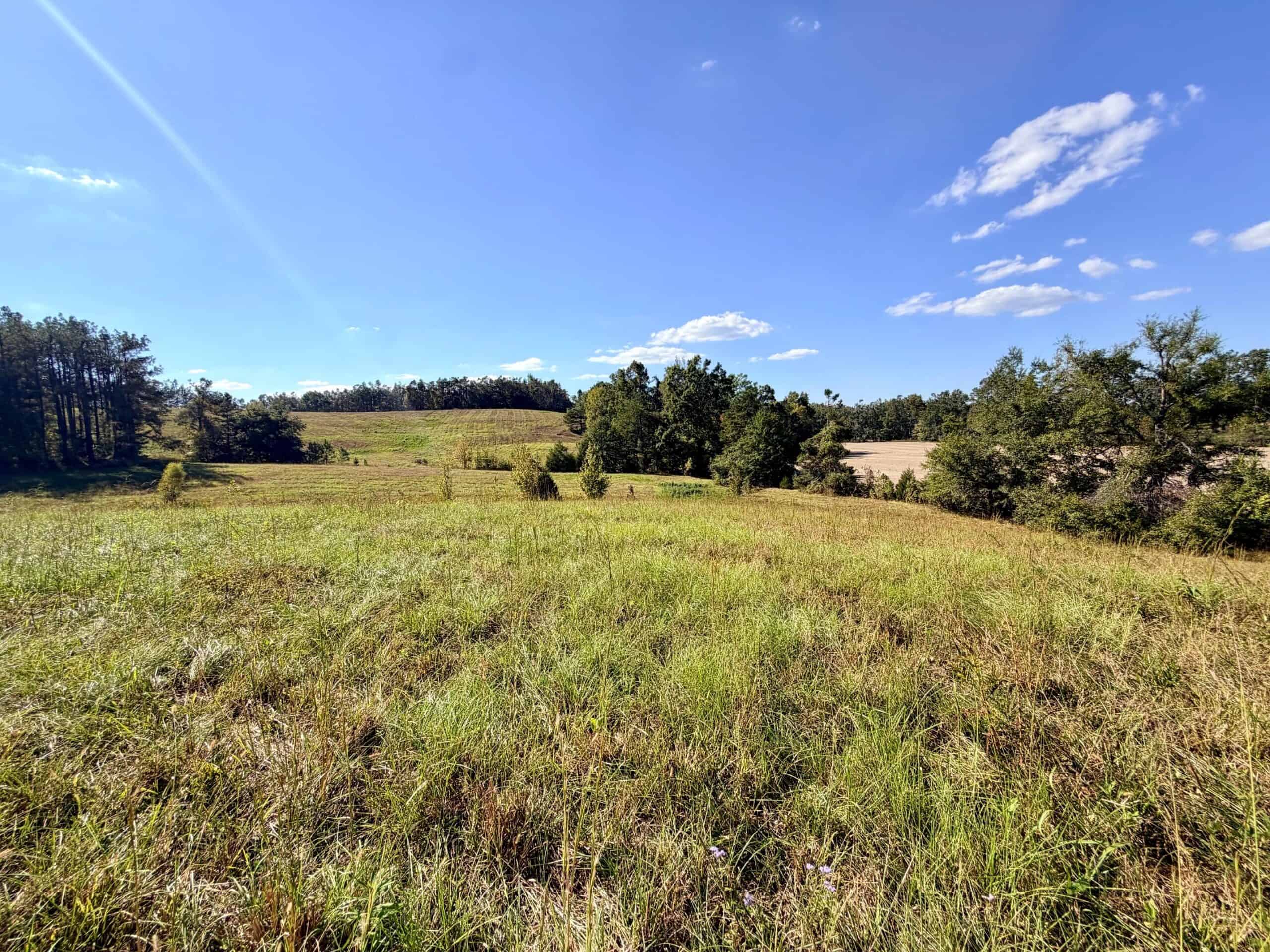 Farm, Breathtaking Home Site, INCREDIBLE Views, Tippah Co., MS