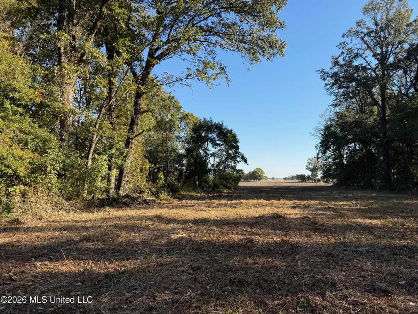 41.22 Acres MS Delta Duck Hunting