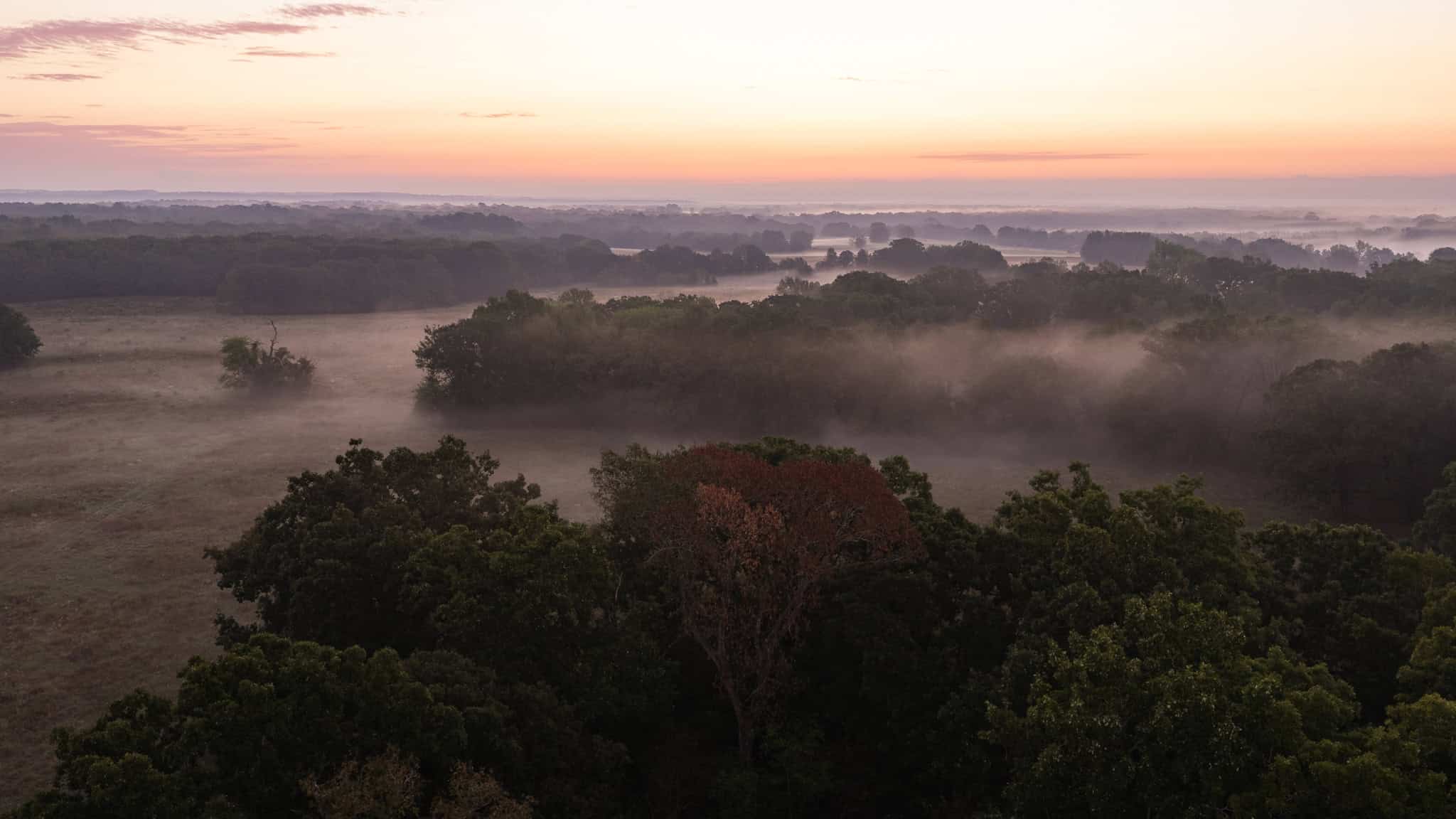 126-Acre Recreational Ranch for Sale in Mineola Texas Wood County