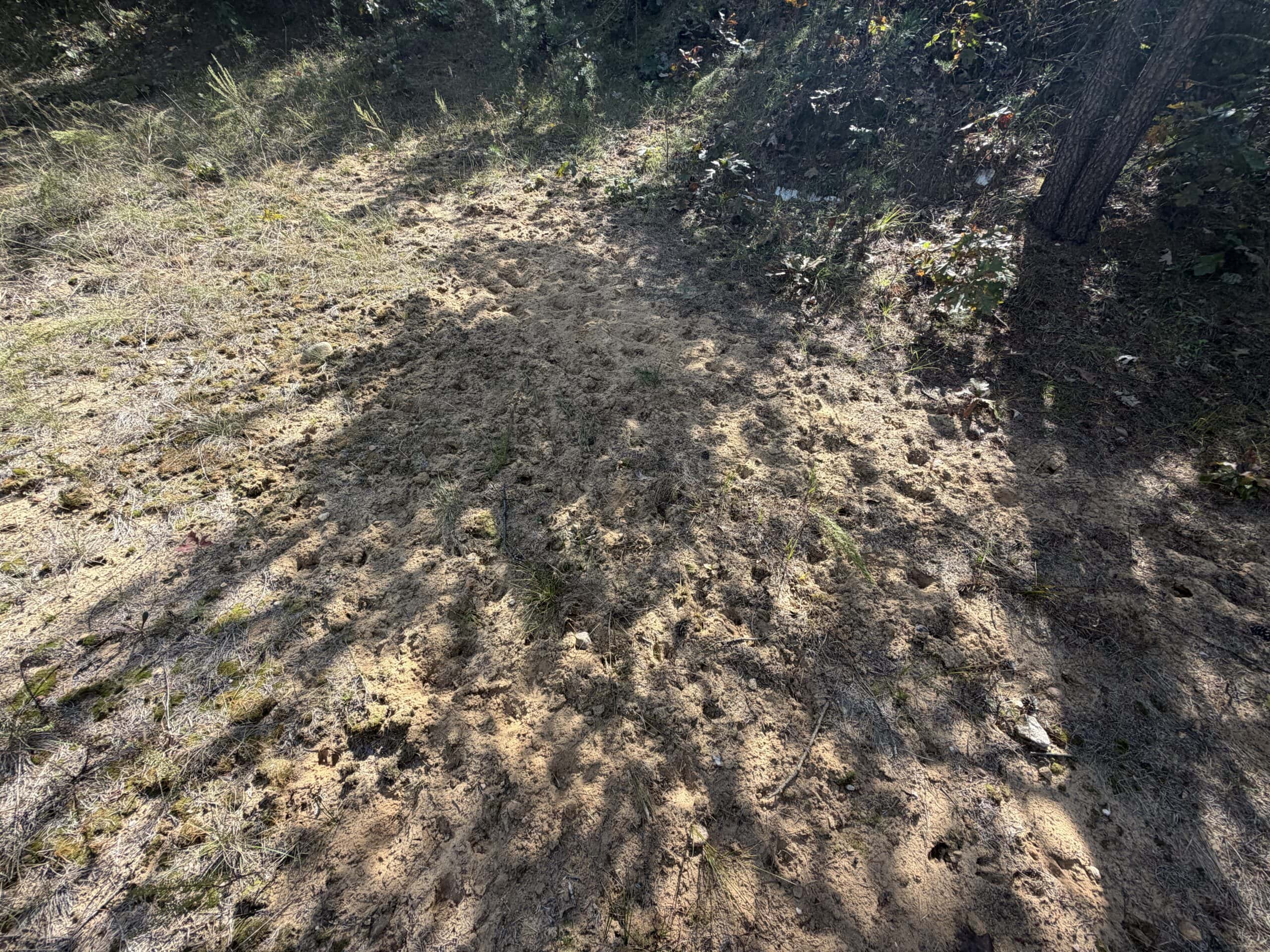 Buildable Hunting and Rec Property in Marquette County WI