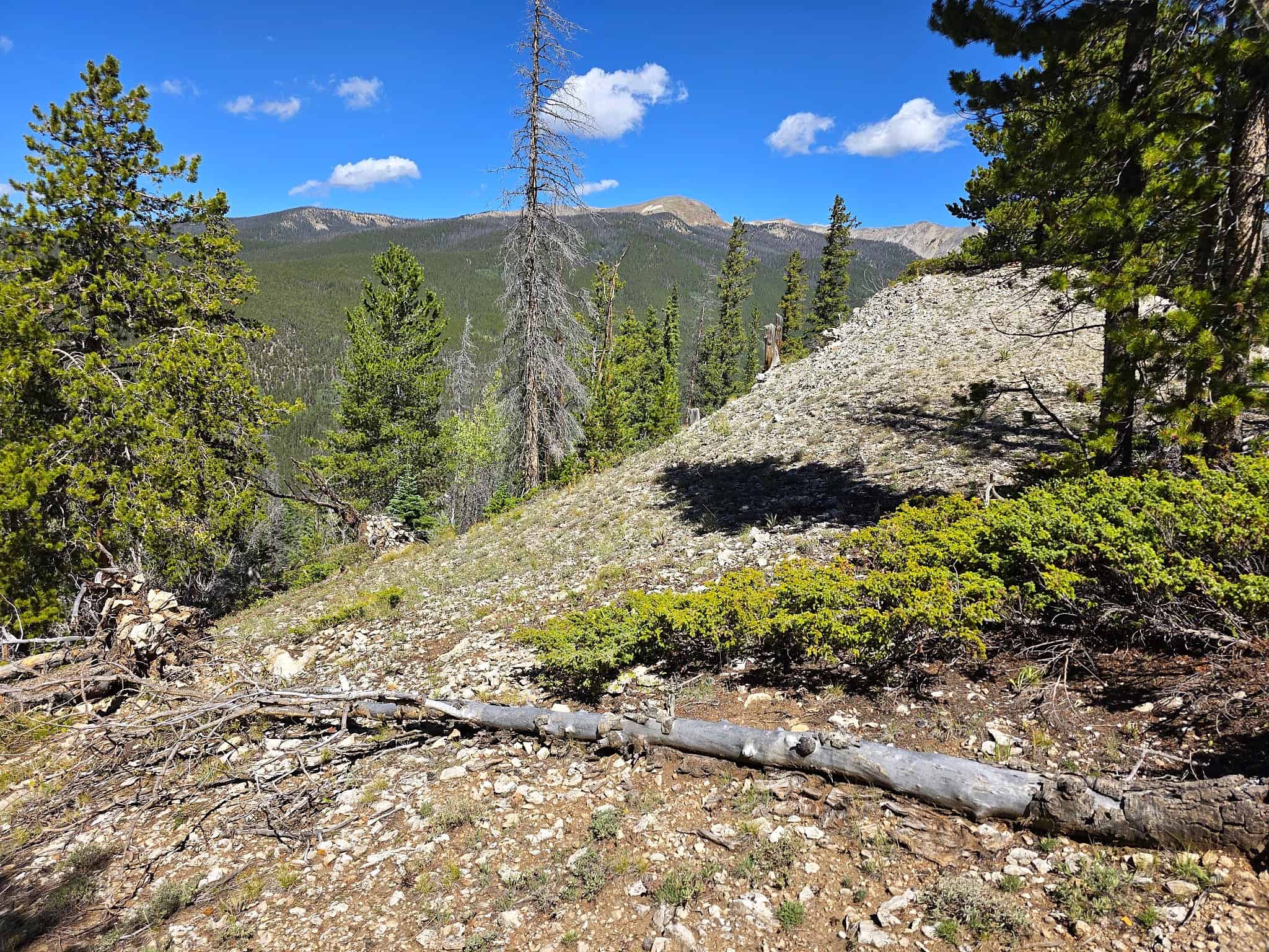 140 ± Acre Mountain Property for Sale in Whitepine, Colorado