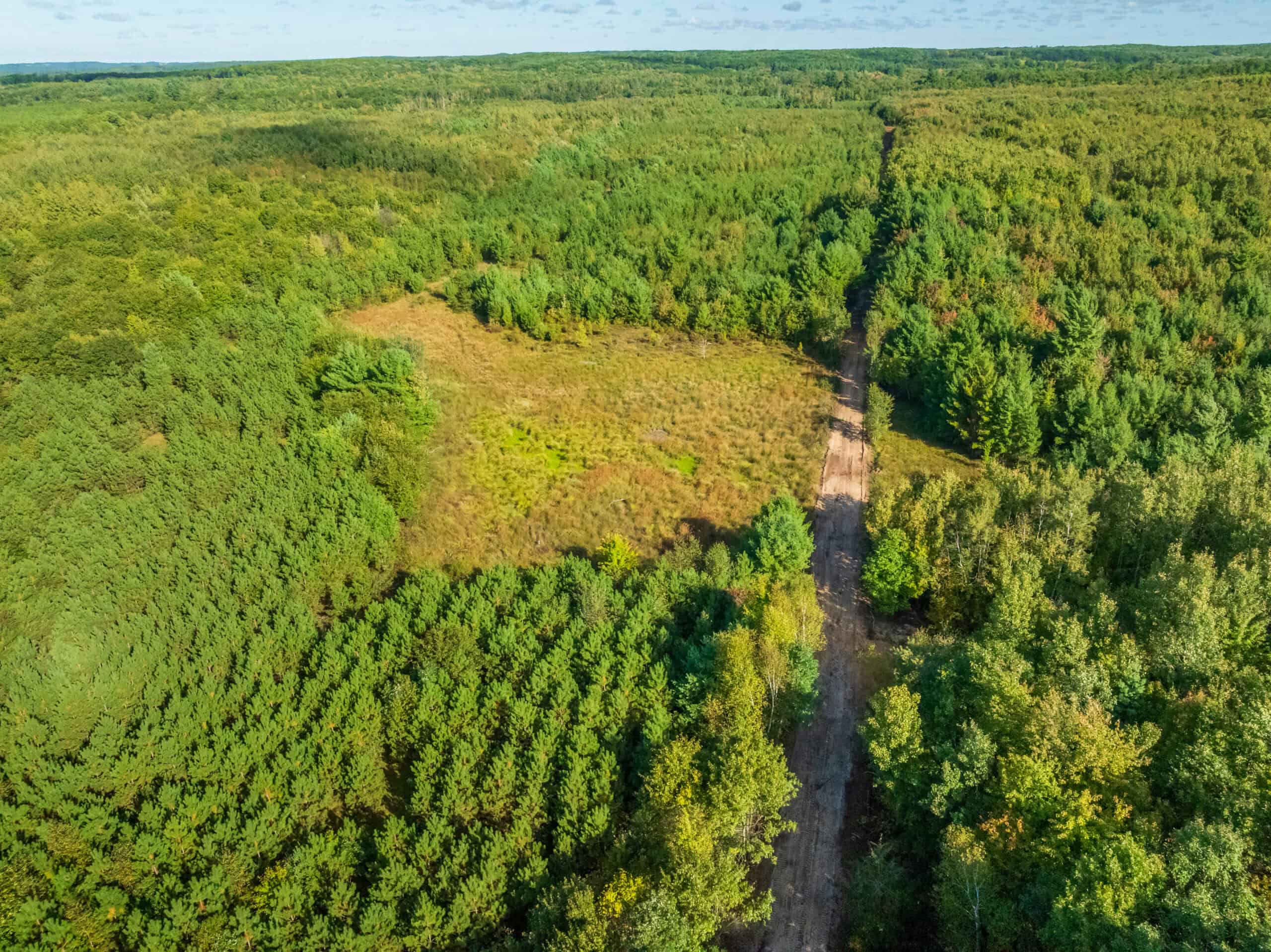 369± acres of premier recreational and hunting land in Eau Claire County
