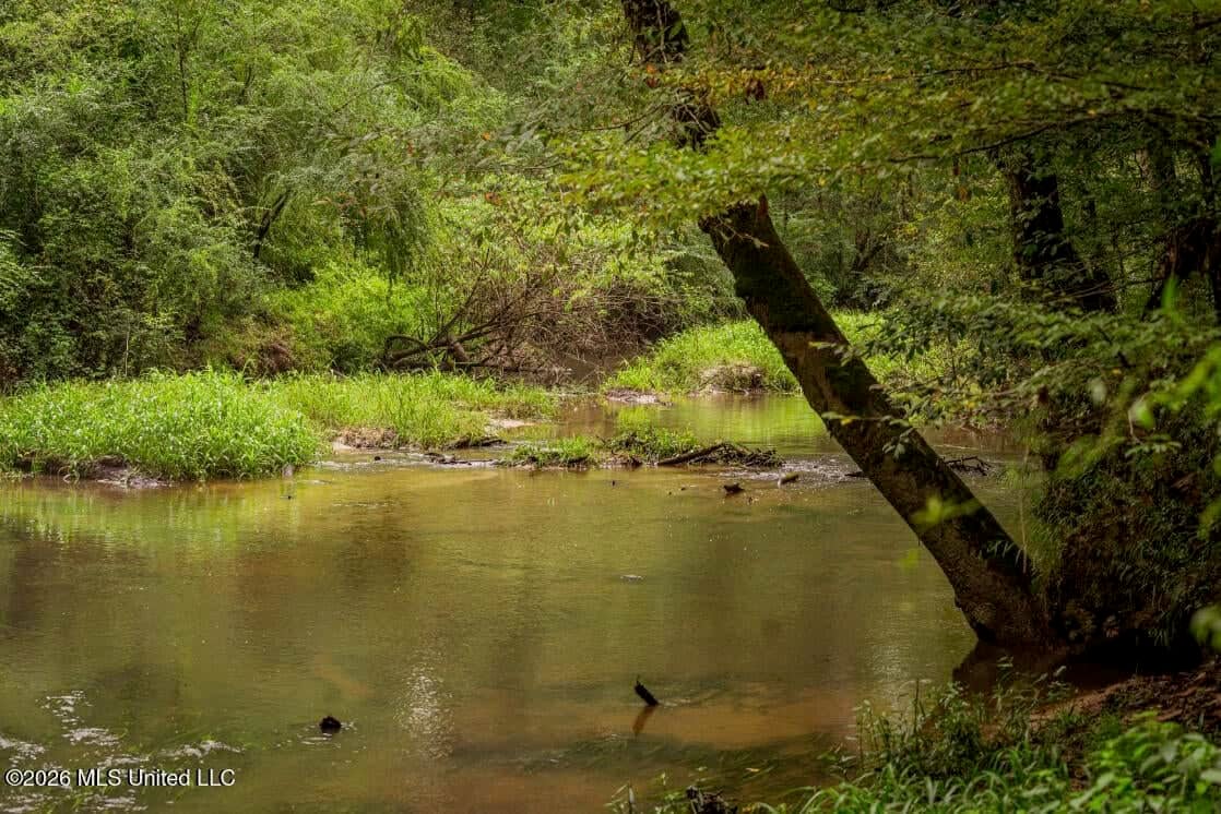 900 Acres for Sale – Hunter’s Paradise South Mississippi