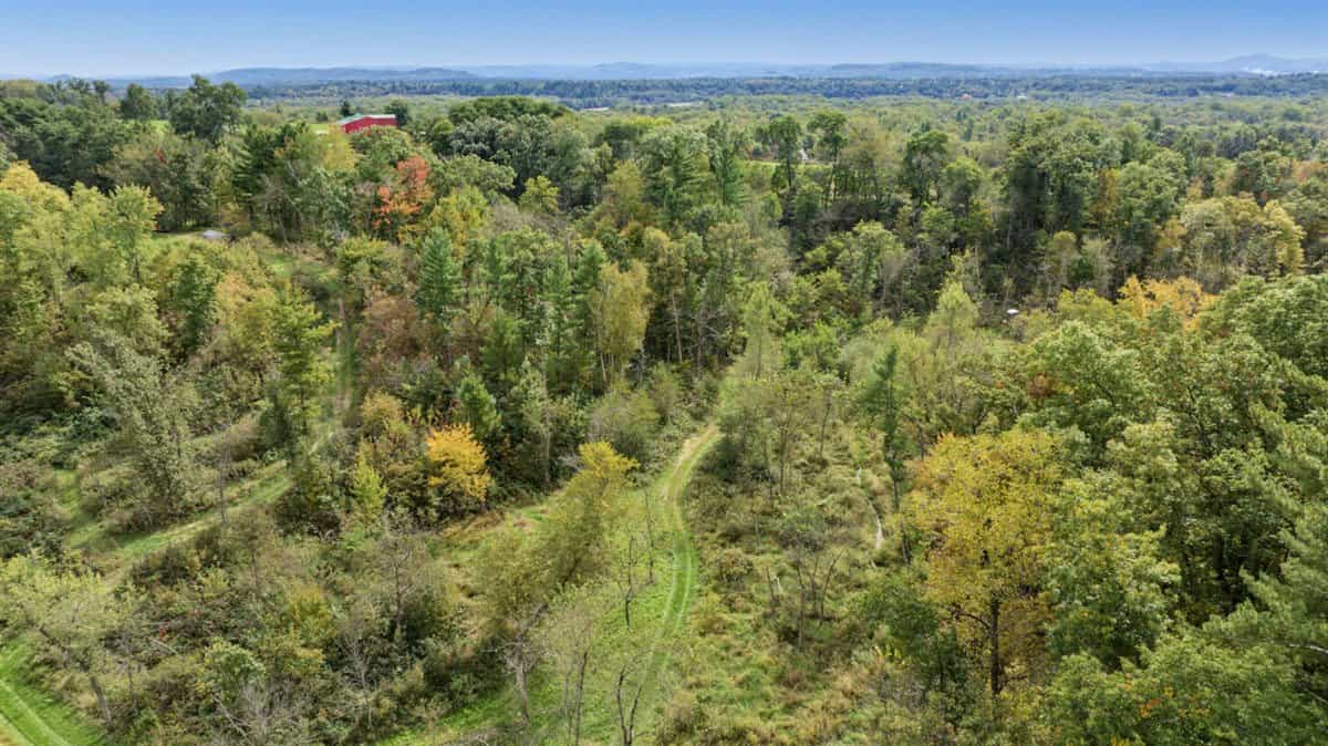 Turnkey 28± Acre Hunting Property Near Melrose, Wisconsin