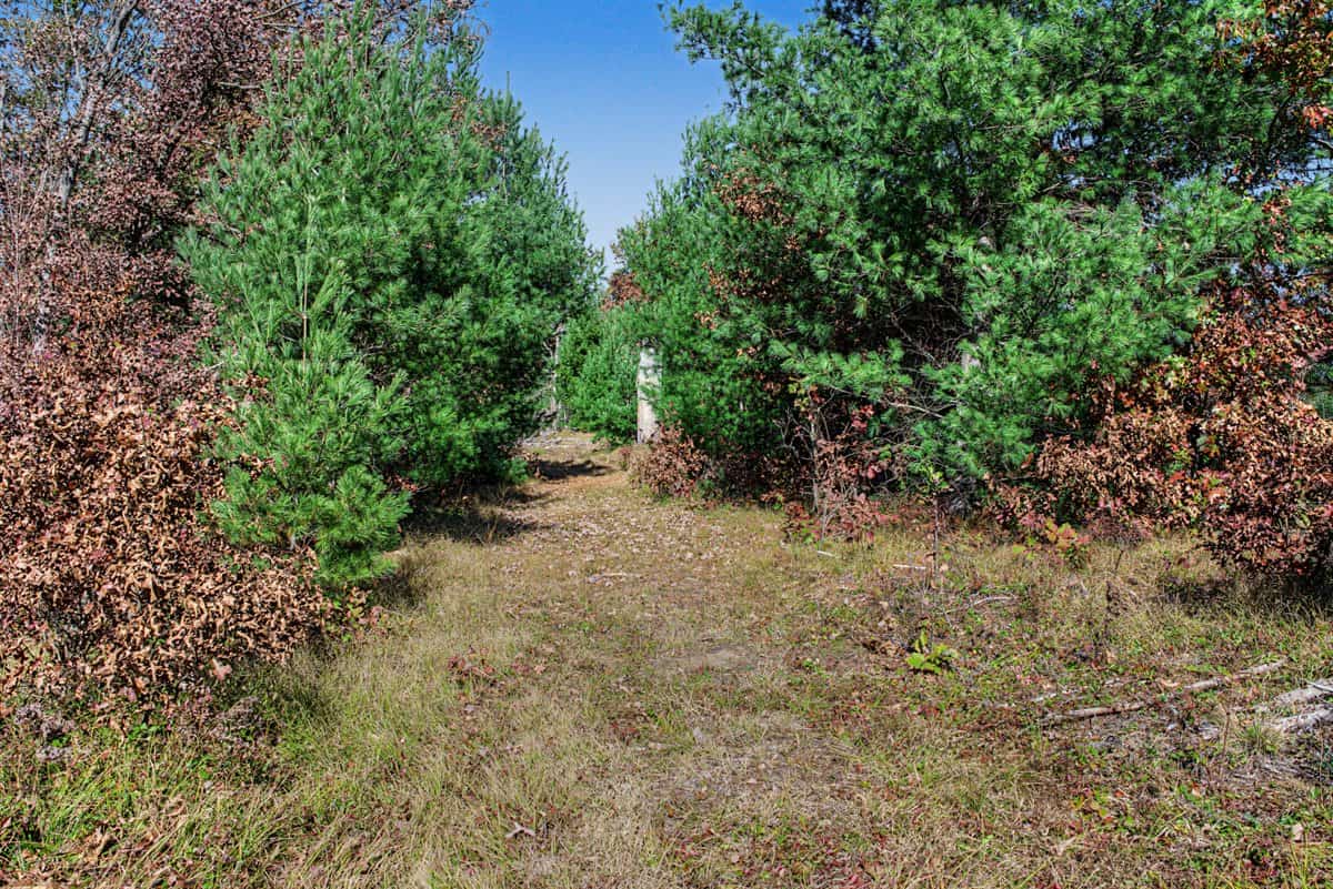 28± Acre Hunting Property with Cabin | Monroe County, Wisconsin