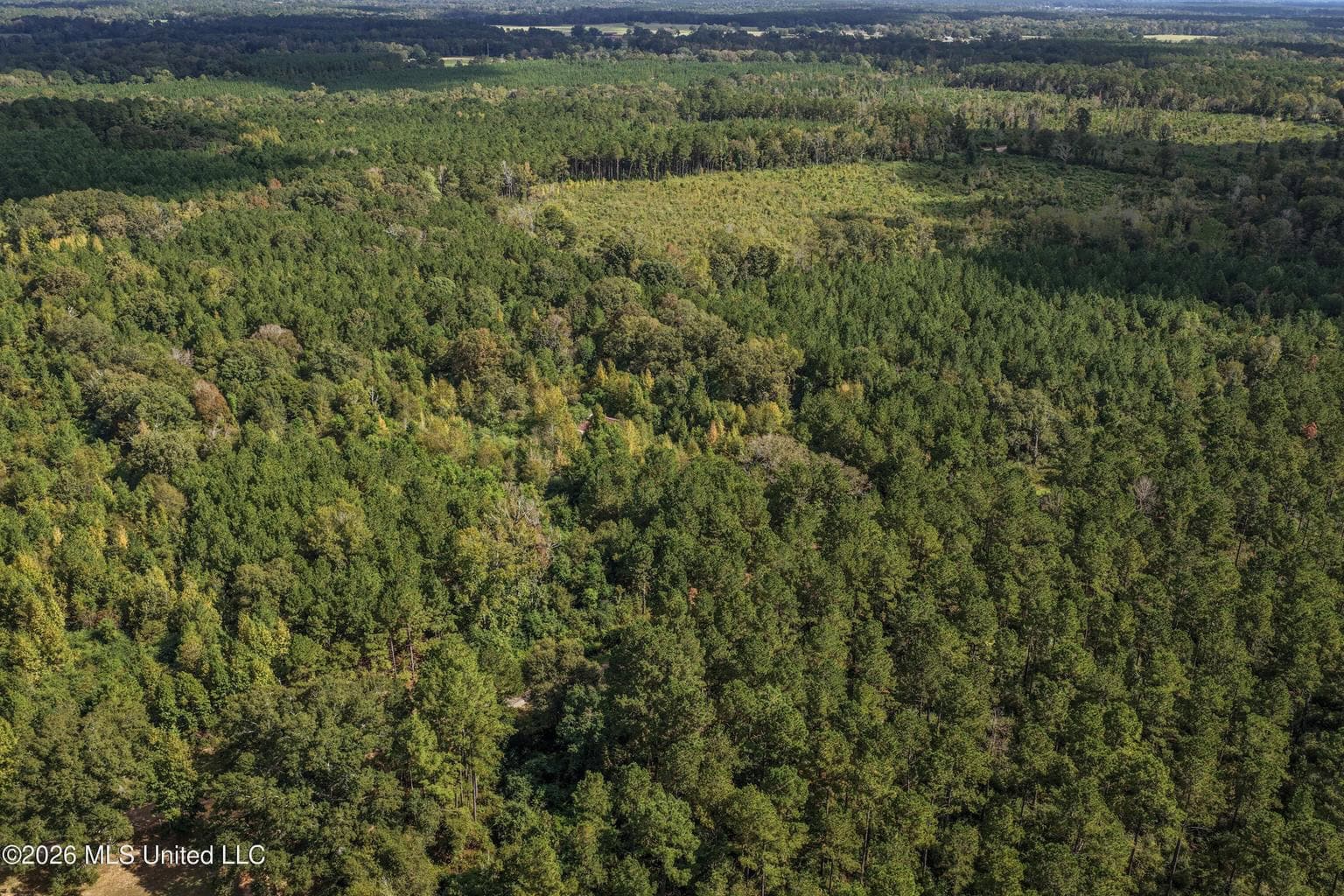 19.7+/- Acres of Wooded Land for Sale in Magnolia, MS