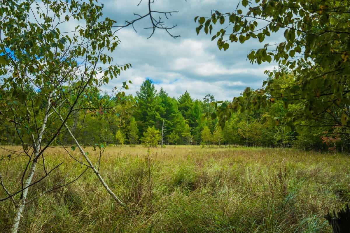 160+/- acres of Western Wisconsin hunting property Eau Claire Cty