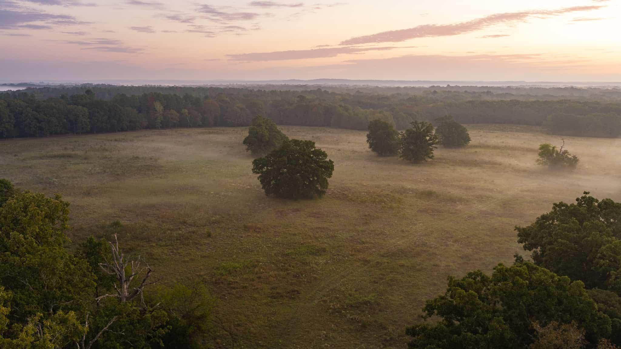 126-Acre Recreational Ranch for Sale in Mineola Texas Wood County