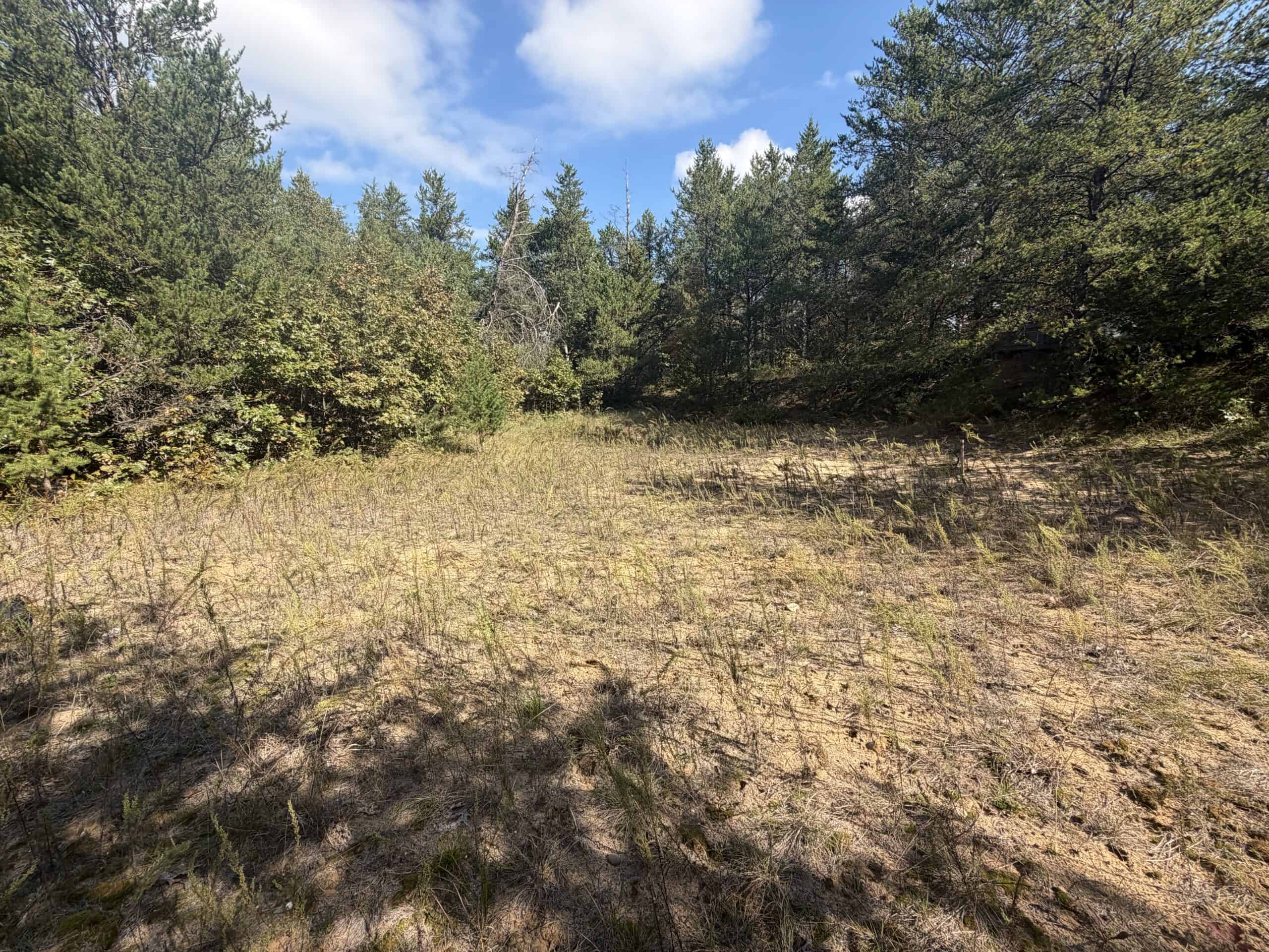 Buildable Hunting and Rec Property in Marquette County WI