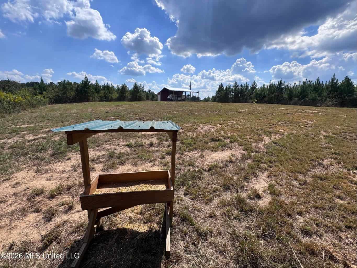 43± Acre Hunting Property in Amite County, MS