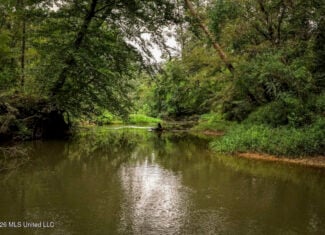 900 Acres for Sale – Hunter’s Paradise South Mississippi