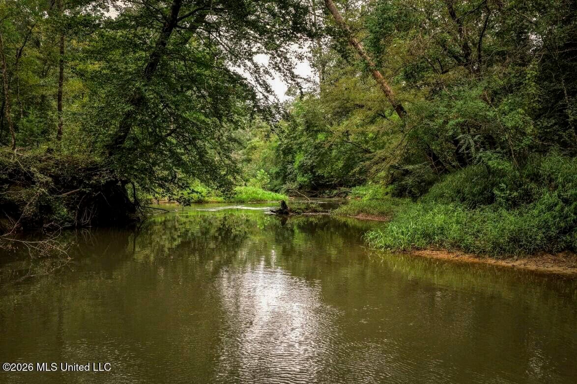 900 Acres for Sale – Hunter’s Paradise South Mississippi