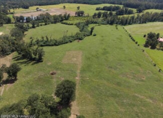 23± Acre Homesite & Pasture in Amite County, MS