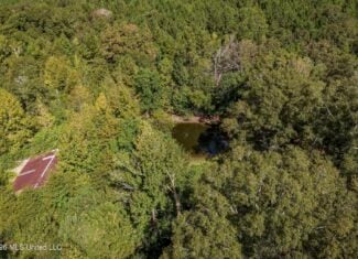 19.7+/- Acres of Wooded Land for Sale in Magnolia, MS