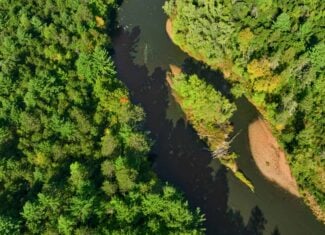 369± acres of premier recreational and hunting land in Eau Claire County