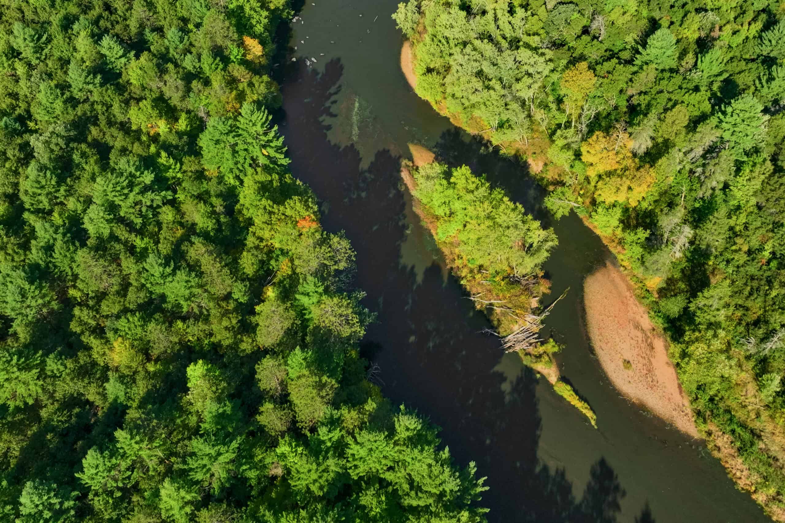 369± acres of premier recreational and hunting land in Eau Claire County