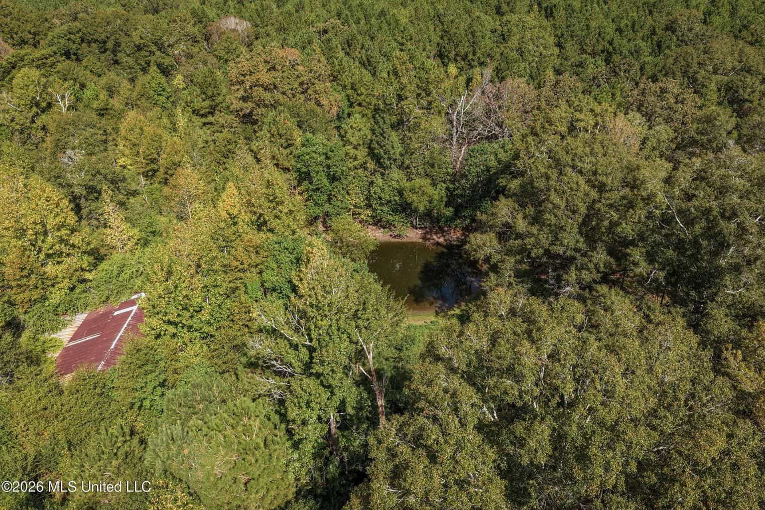 19.7+/- Acres of Wooded Land for Sale in Magnolia, MS