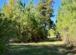 63 Acres Land For Sale Near Starkville MS