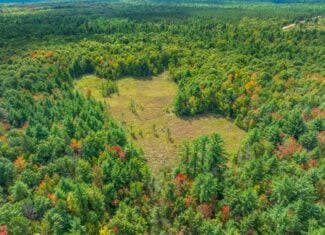 160+/- acres of Western Wisconsin hunting property Eau Claire Cty